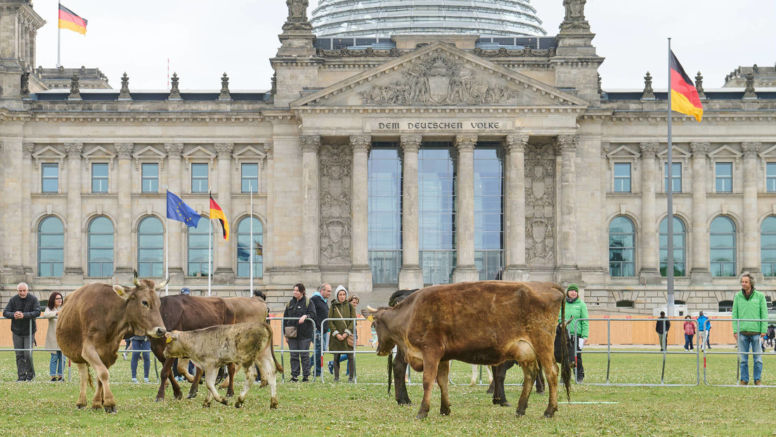 Ist die bundesdeutsche Demokratie gefährdet?