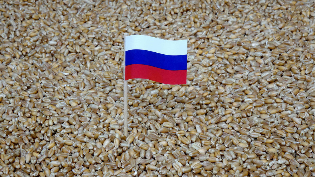 Russlands bemerkenswerte Evolution im Agrarsektor: Aufschwung nach Katastrophe der 1990er Jahre
