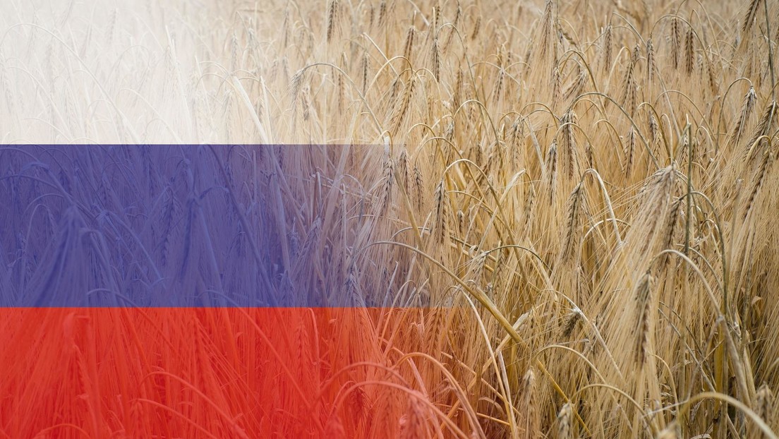 Kreml: Keine Voraussetzungen für Verlängerung des Getreidedeals