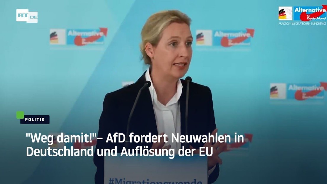 "Weg damit!"– AfD fordert Neuwahlen in Deutschland und Auflösung der EU