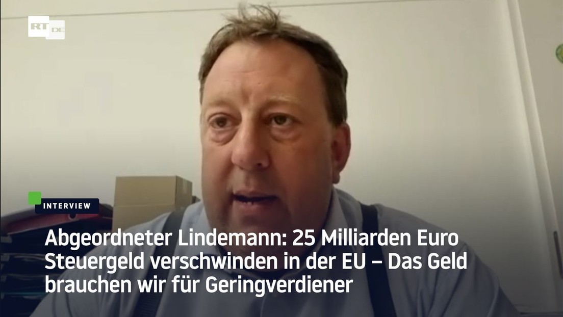 Abgeordneter Lindemann: 25 Milliarden Euro Steuergeld verschwinden in der EU