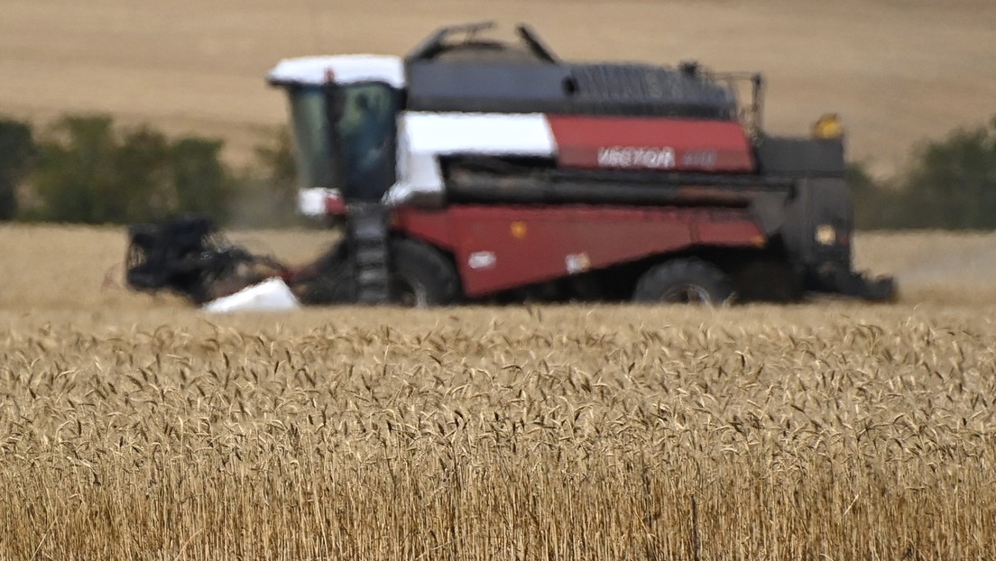 Medienbericht: Katastrophe droht – Ukrainisches Getreide gefährdet Europa