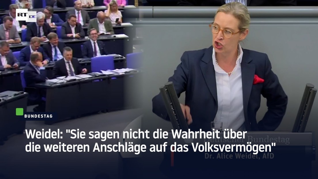 Heizungsgesetz vorerst auf Eis – Weidel warnt vor "weiteren Anschlägen auf Volksvermögen"
