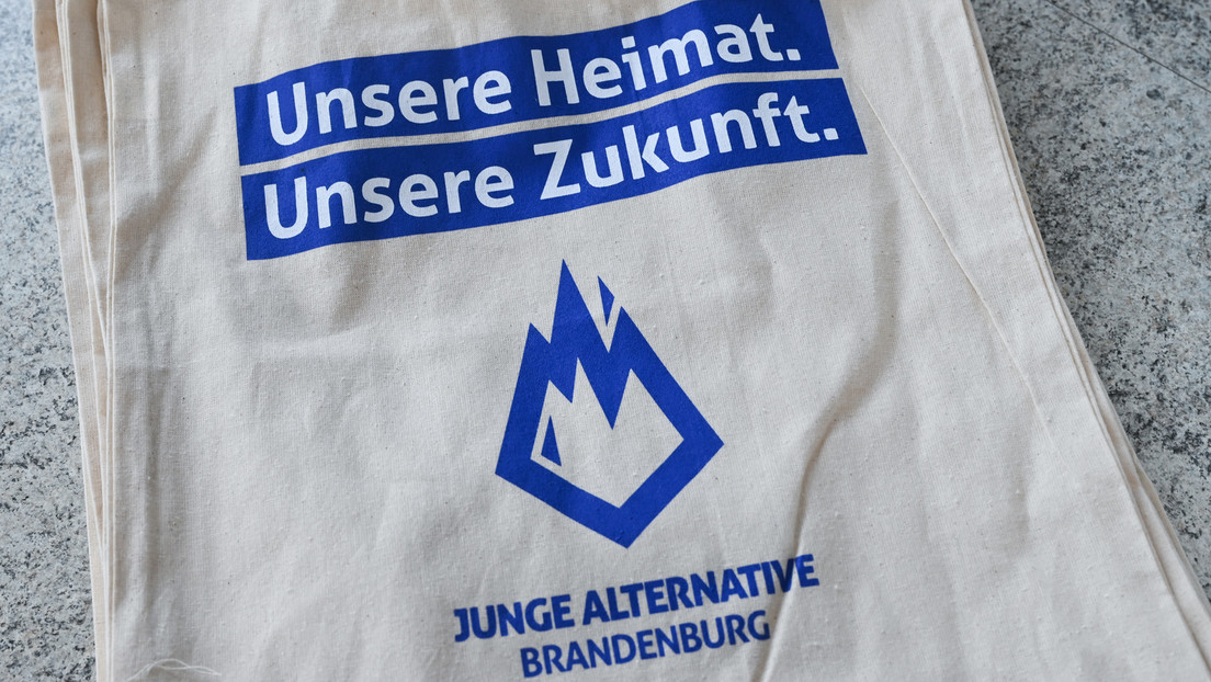 Brandenburgs AfD-Jugendorganisation wird vom Verfassungsschutz als rechtsextremistisch eingestuft