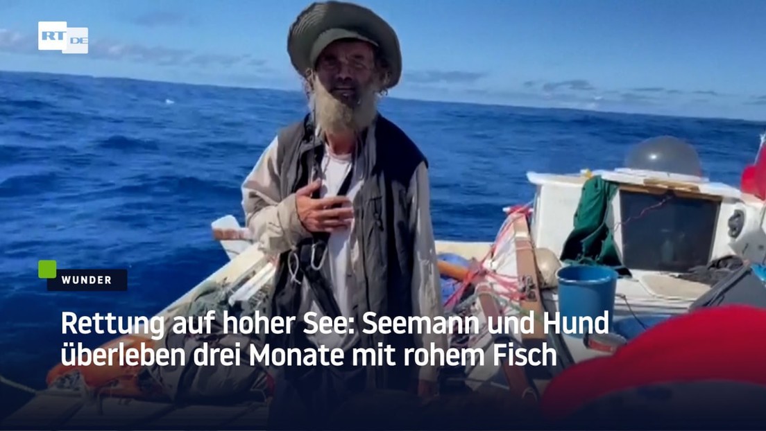 Rettung auf hoher See: Seemann und Hund überleben drei Monate mit rohem Fisch