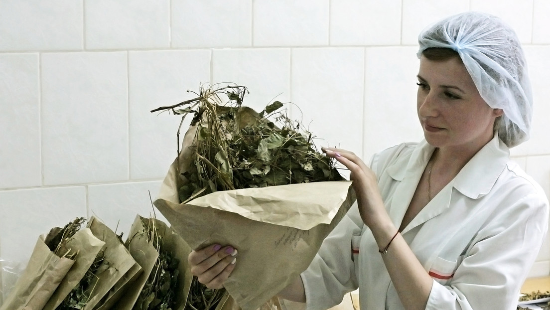 Traditionelle chinesische Medizin aus Russland: Hersteller GPHL kauft Kräuter aus "kalter Region"