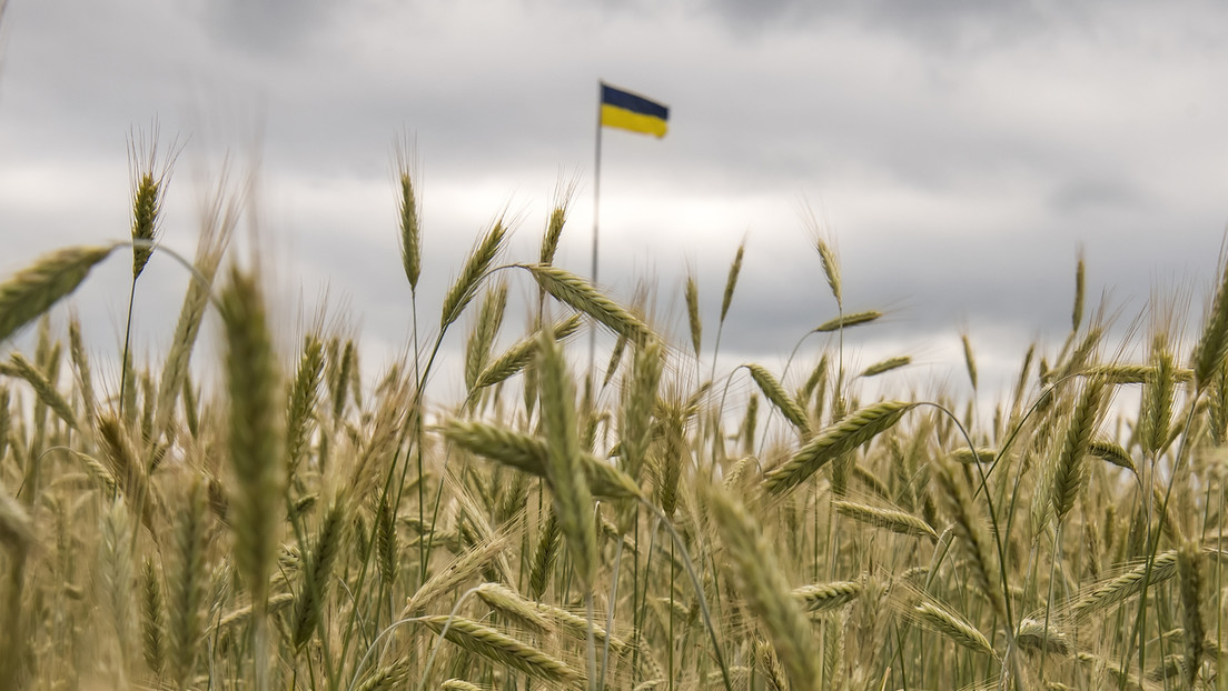 Regierungschef Morawiecki: Polen wird seine Grenze nicht für Getreide aus der Ukraine öffnen