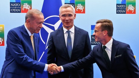 Stoltenberg: Erdoğan macht Weg für Schwedens NATO-Beitritt frei