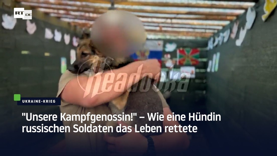 "Unsere Kampfgenossin!" – Wie ein Hund russischen Soldaten das Leben rettet