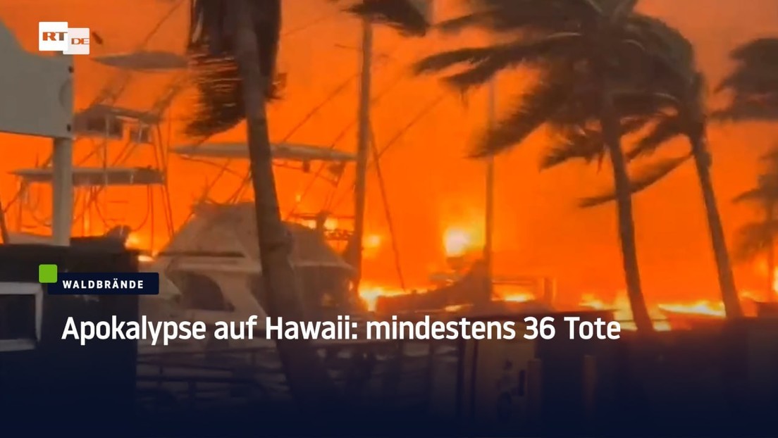 Apokalypse auf Hawaii: mindestens 36 Tote