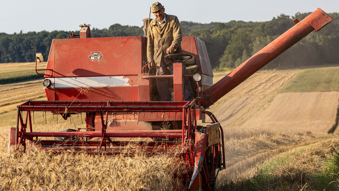 Polnische Beamtin: Man muss zuerst eigenen Landwirten helfen, dann ukrainischen