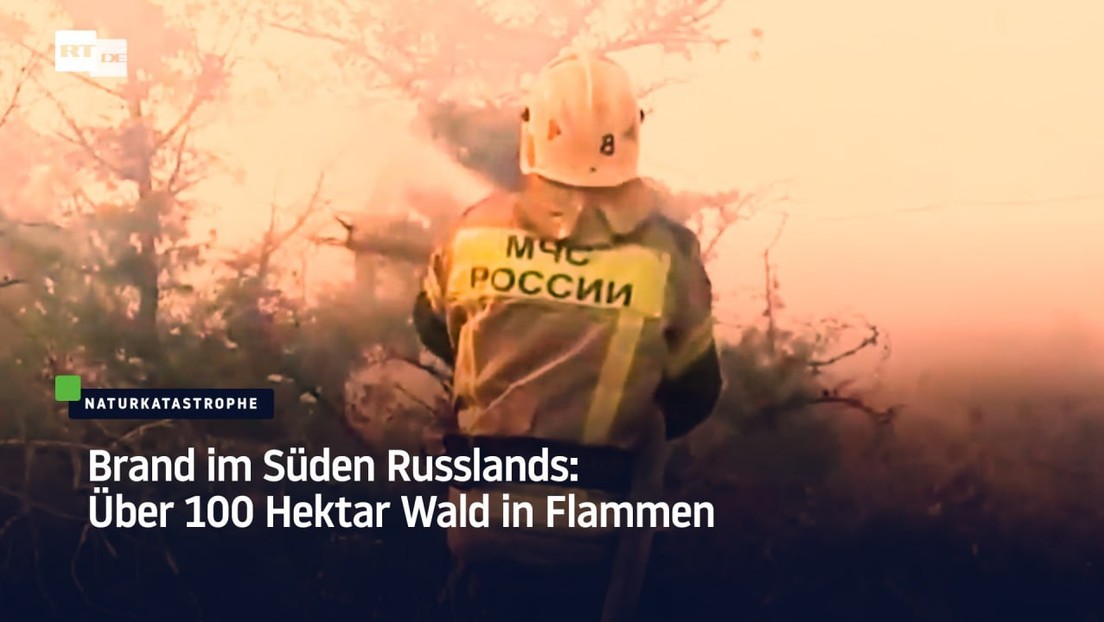 Brand im Süden Russlands: Über 100 Hektar Wald in Flammen