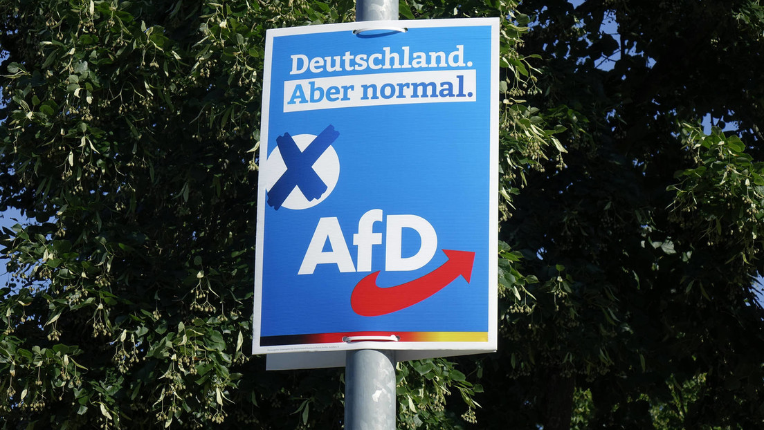 Nun auch Brandenburg und Hessen: AfD-Zustimmung wächst und wächst