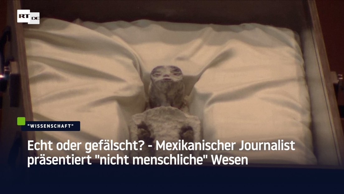 Echt oder gefälscht? - Mexikanischer Journalist präsentiert "nicht menschliche" Wesen