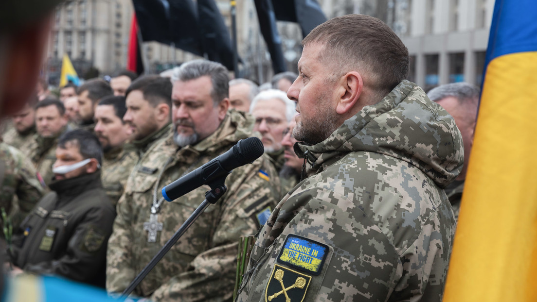 Wegen Gebietsverlusten im Süden: Kiew könnte gegen General Saluschny ermitteln
