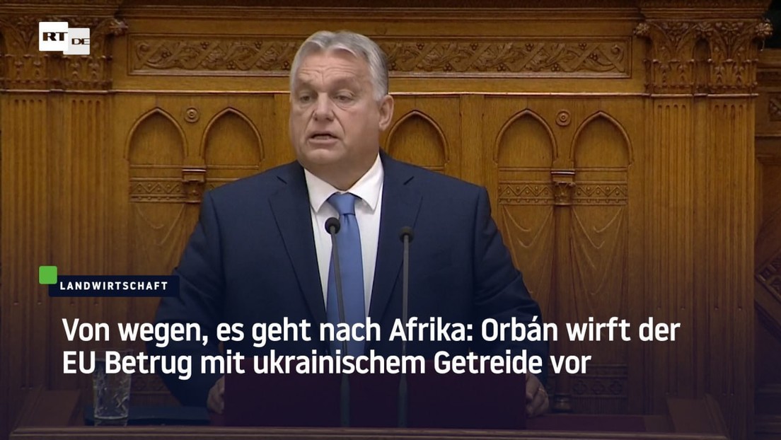 Orbán zu Ungarns Einfuhrverbot für Getreide aus der Ukraine: Die EU hat uns betrogen