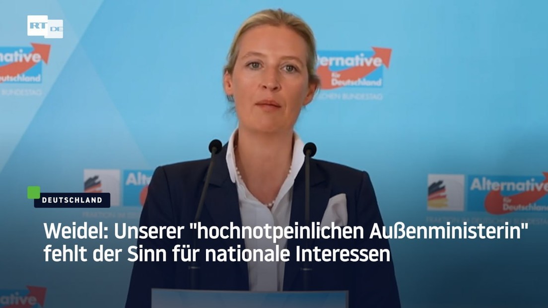 Weidel klagt Bundesregierung an: "Laienschauspieltruppe" entscheidet gegen den Willen des Volkes