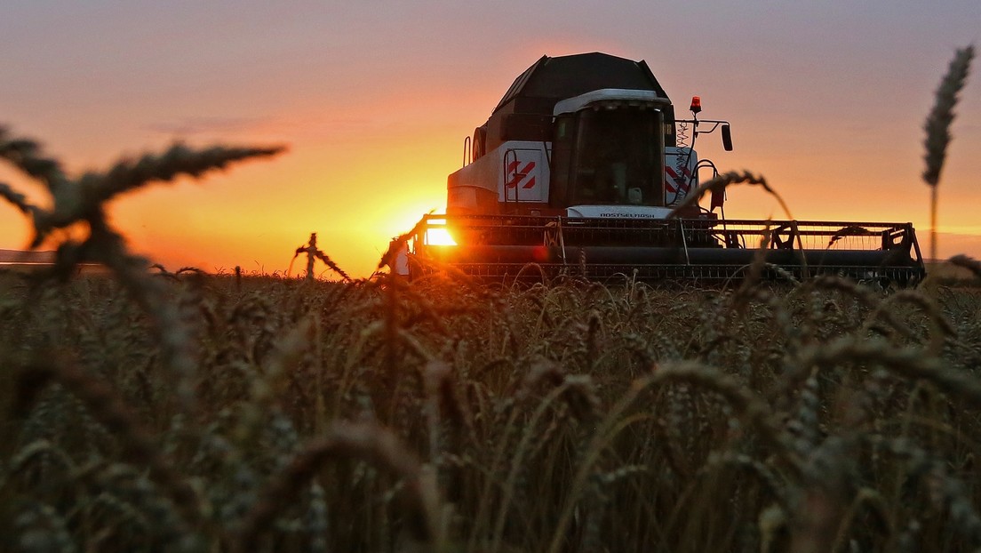 Moskau will weitere Tonnen Getreide gratis nach Afrika liefern