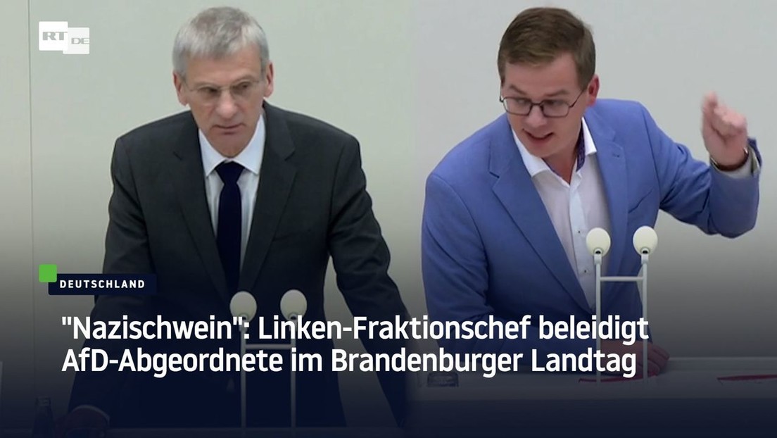 "Nazischwein": Linken-Fraktionschef beleidigt AfD-Abgeordnete im Brandenburger Landtag