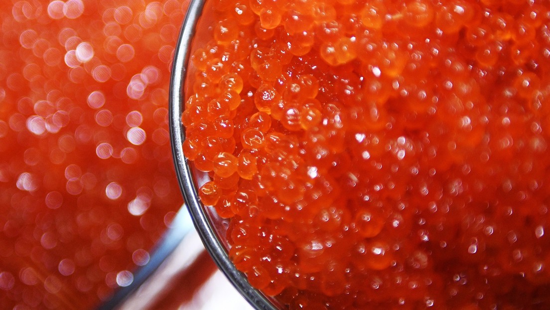 Russland: Fischproduktion gestiegen – Preis für roten Kaviar fällt drastisch
