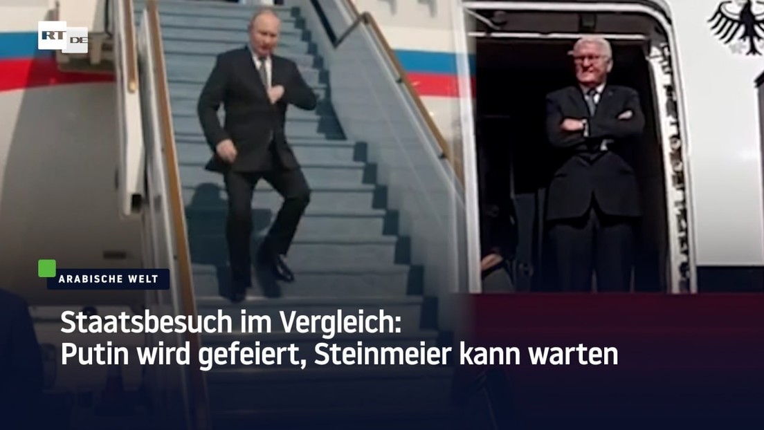 Staatsbesuch im Vergleich: Putin wird gefeiert, Steinmeier kann warten