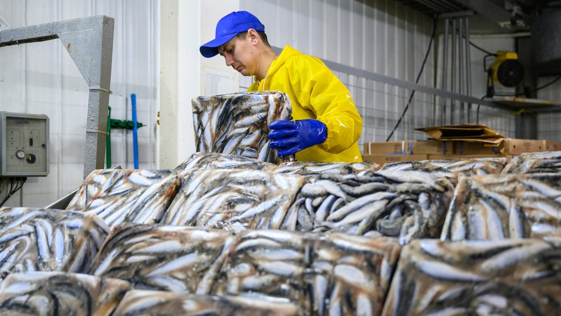 USA tightens import ban on Russian salmon, pollock, cod and crabs
