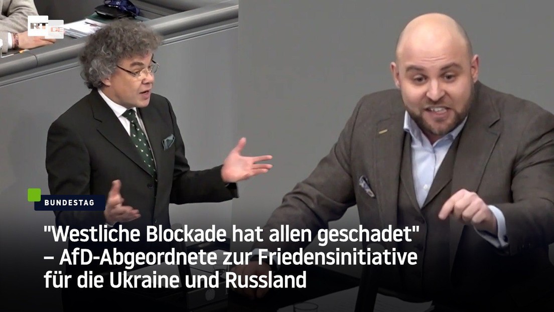 "Westliche Blockade hat allen geschadet" – AfD-Abgeordneter zur Friedensinitiative