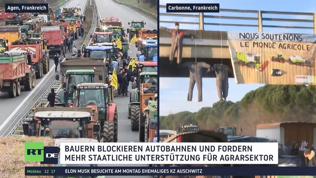 Nicht nur in Deutschland: Europaweite Bauernproteste gegen Agrarpolitik
