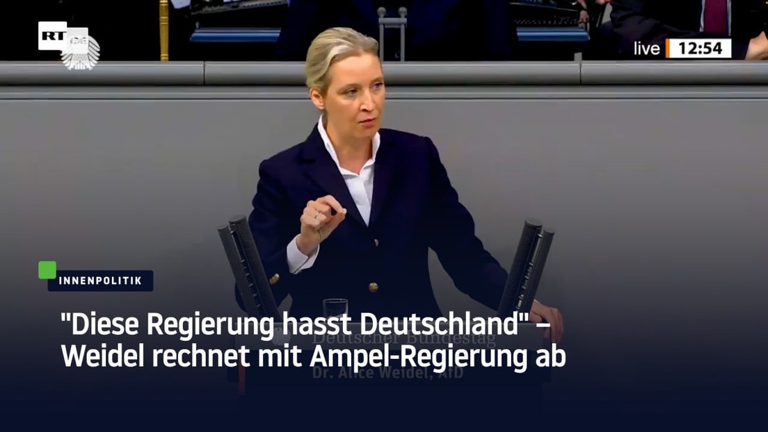 "Diese Regierung hasst Deutschland" – Weidel rechnet mit Ampel-Regierung ab