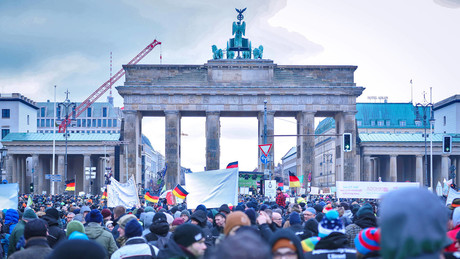 Lesermeinung zur Bauern-Großkundgebung am 15. Januar in Berlin