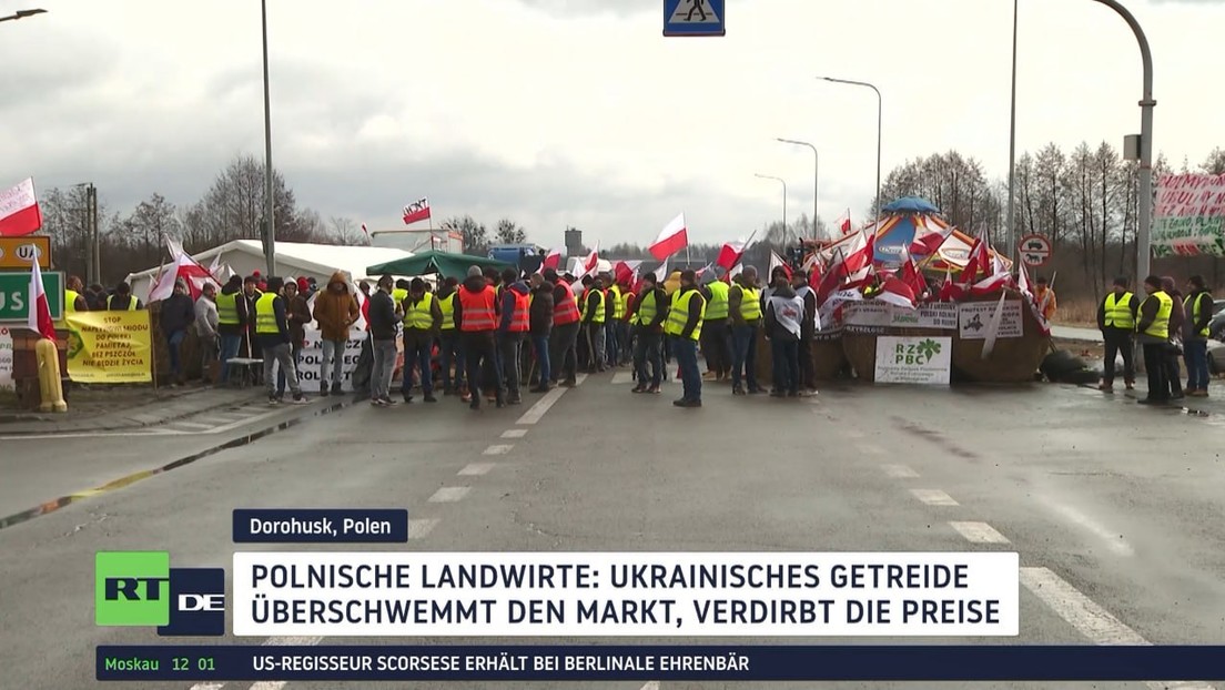 Bauernproteste in Polen gegen billiges ukrainisches Getreide und EU-Maßnahmen