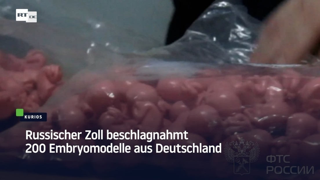 Russischer Zoll beschlagnahmt 200 Embryomodelle aus Deutschland