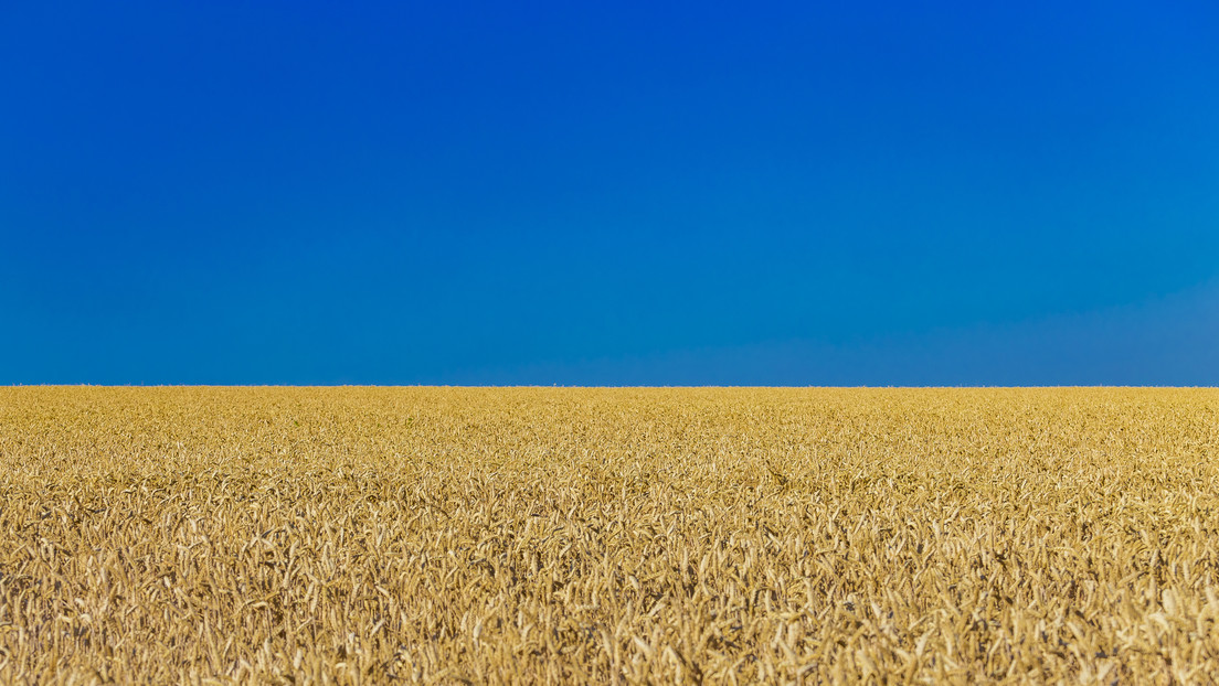 Kiew forciert den Verkauf von Agrarland – entgegen ukrainischen Interessen