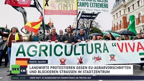 Europaweite Bauernproteste gegen EU-Agrarvorschriften