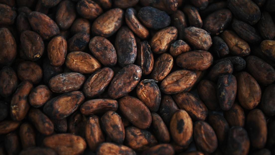 Nicht mehr schokoladig: Schokohersteller ändern Rezepturen wegen steigender Kakaobohnenpreise
