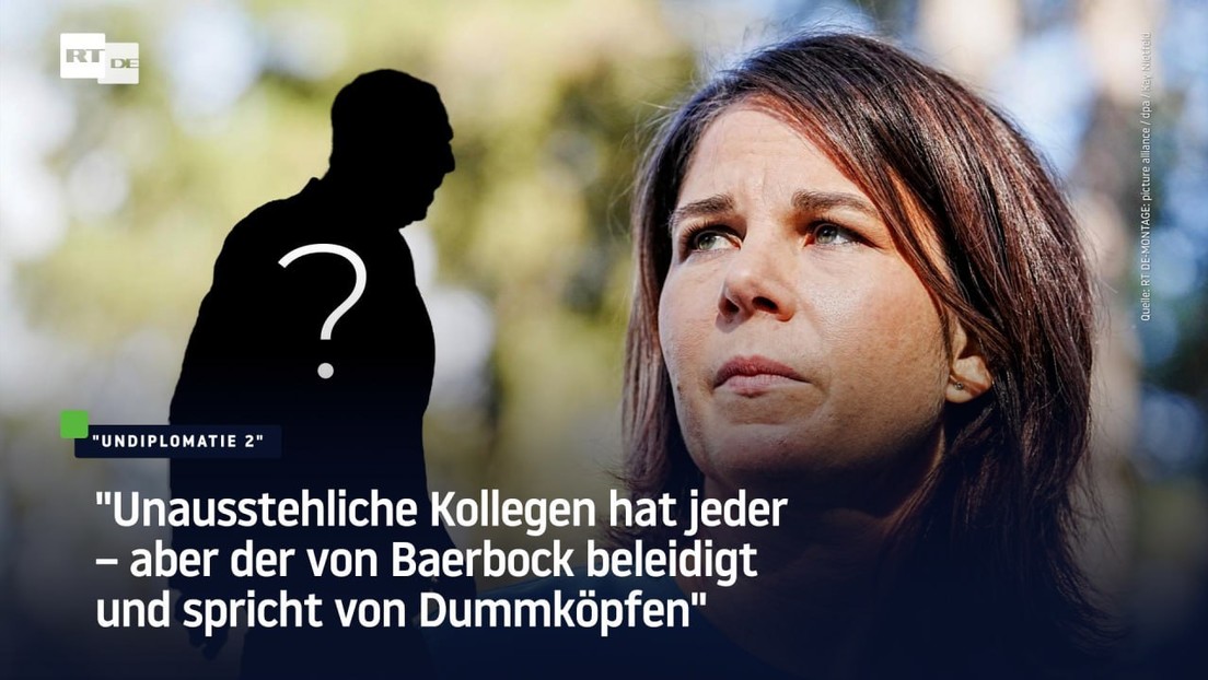 Annalena Baerbock: Von "unausstehlichen Kollegen" und "Dummköpfen"
