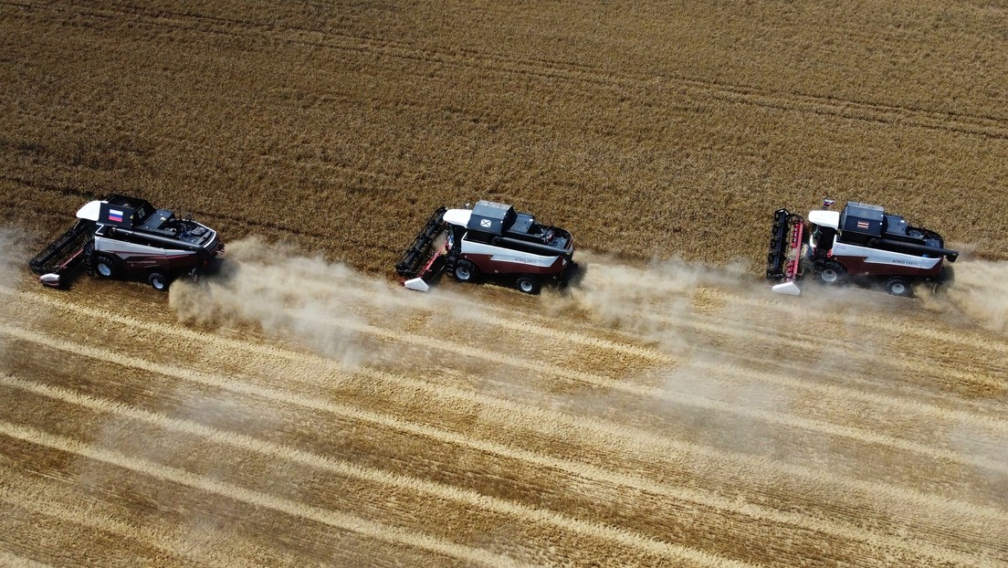 Medien: EU will Zollgebühren für Getreide aus Russland und Weißrussland