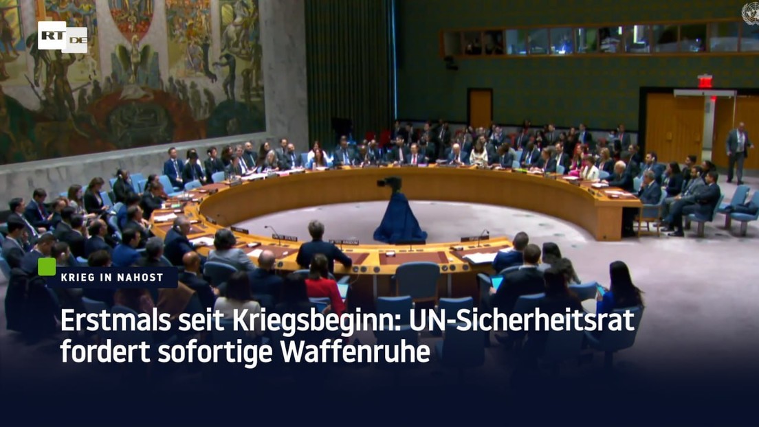 Erstmals seit Kriegsbeginn: UN-Sicherheitsrat fordert sofortige Waffenruhe
