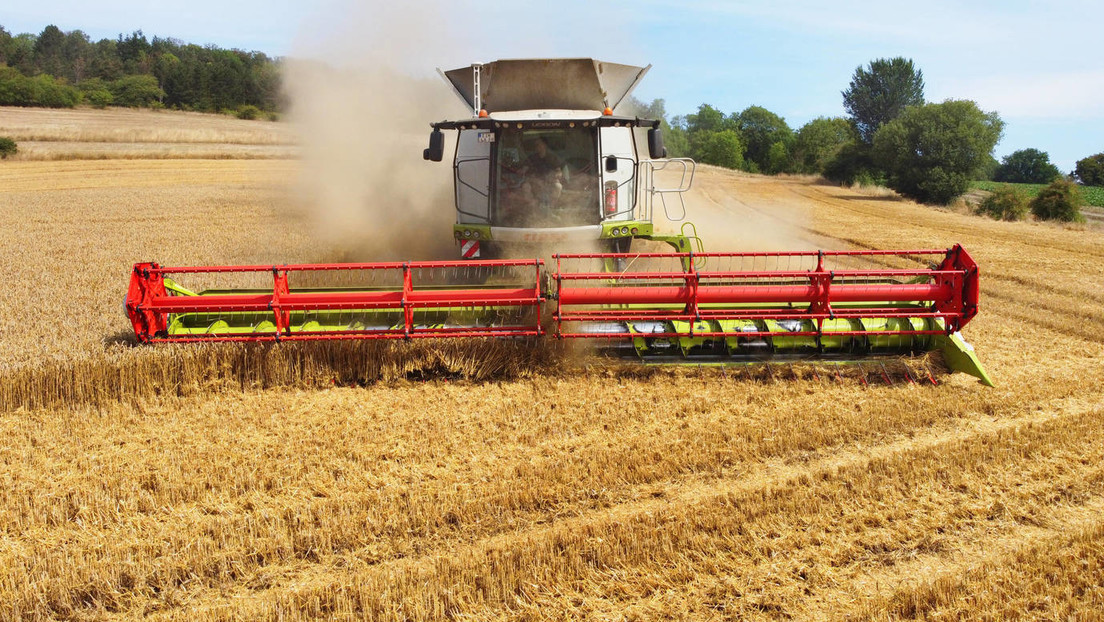 Ungarn stellt sich quer: Weiter keine zollfreie Einfuhr von ukrainischem Getreide