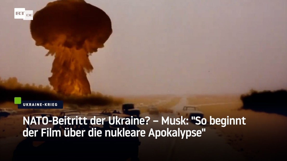 NATO-Beitritt der Ukraine? – Musk: "So beginnt der Film über die nukleare Apokalypse"