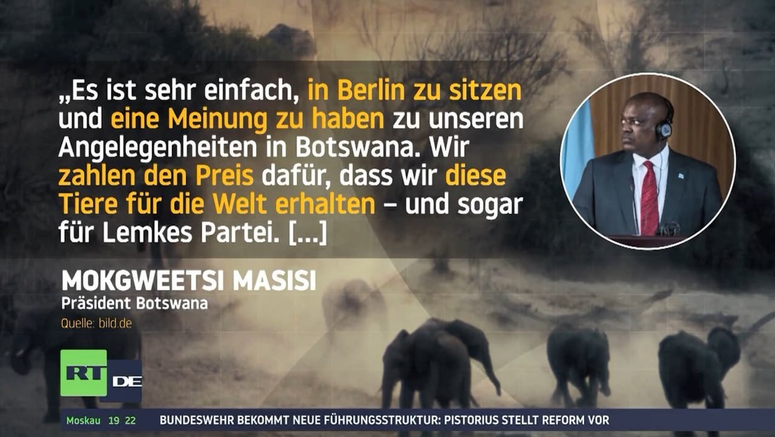 Berlins Moralapostel verursachen "Elefanteneklat" zwischen Deutschland und Botswana