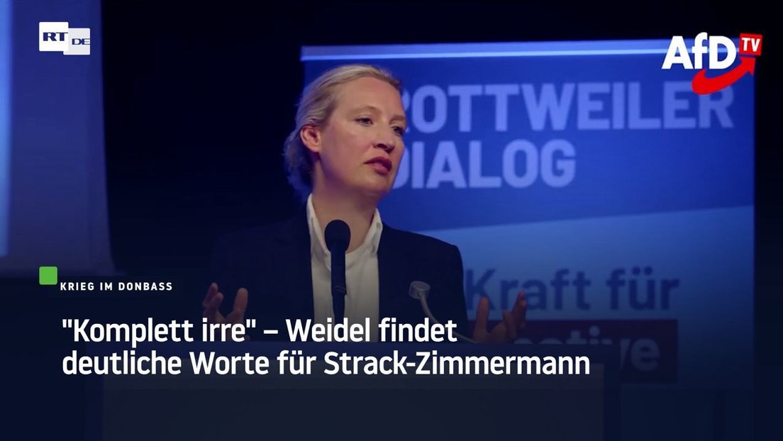 "Komplett irre" – Weidel findet deutliche Worte für Strack-Zimmermann