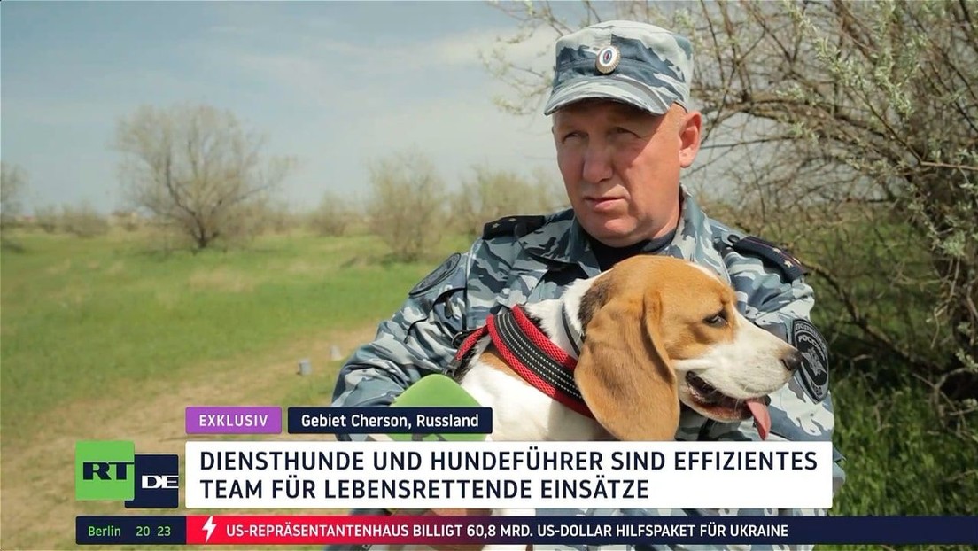 RT-DE-Exklusiv: Diensthunde und Hundeführer sind effizientes Team für lebensrettende Einsätze