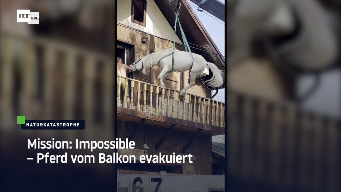 Mission: Impossible – Pferd vom Balkon im russischen Flutgebiet Orenburg evakuiert
