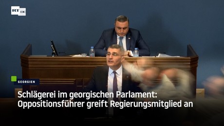 Schlägerei im georgischen Parlament: Oppositionsführer greift Regierungsmitglied an