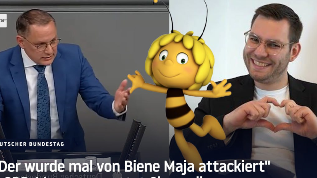 "Der wurde mal von Biene Maja attackiert" – SPD-Mann verspottet Chrupalla