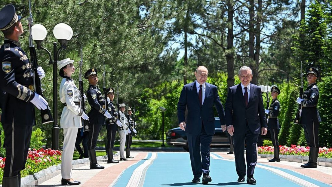 LIVE: Putin in Usbekistan – Pressekonferenz beider Präsidenten in Taschkent