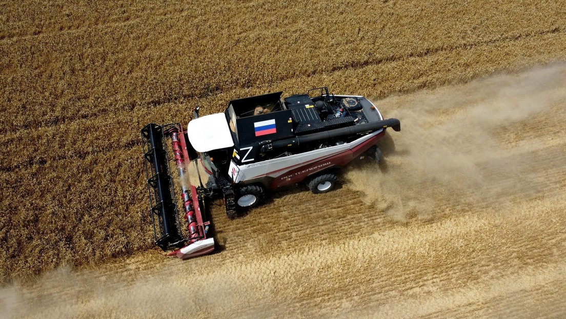 Experten: EU-Beschränkungen auf Getreideeinfuhren aus Russland machen Europa zum Verlierer