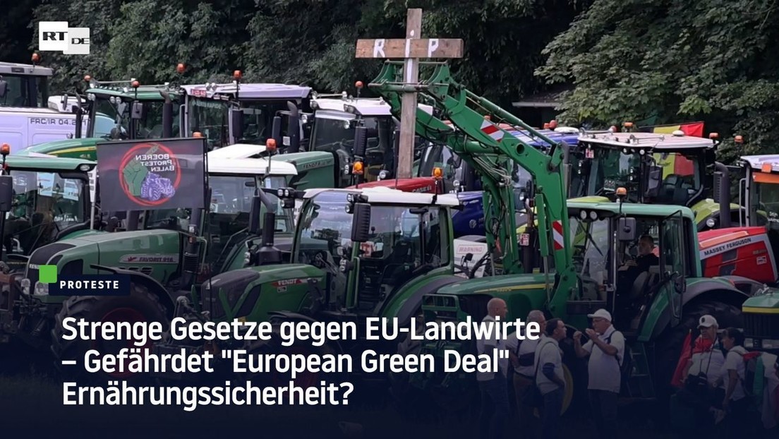 Strenge Gesetze gegen EU-Landwirte – Gefährdet "European Green Deal" Ernährungssicherheit?
