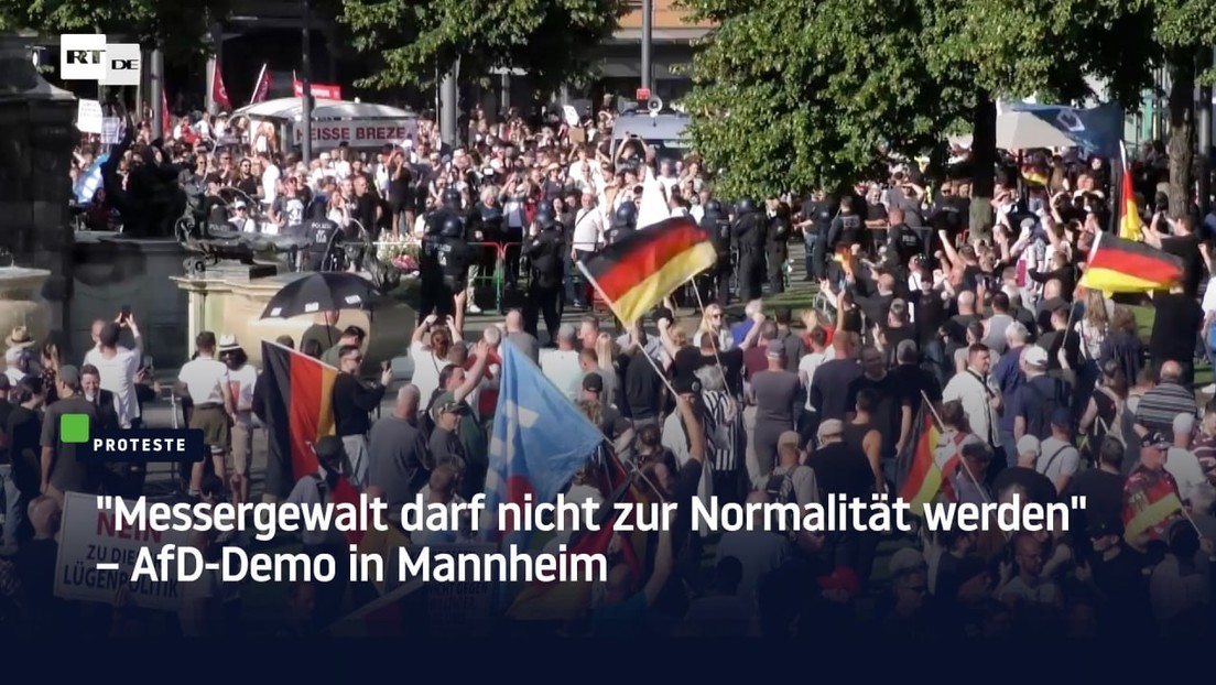 "Messergewalt darf nicht zur Normalität werden" – AfD-Demo in Mannheim